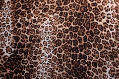Panther Pattern Royalty Free Stock Images - Image: 264169