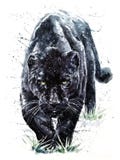 Panther watercolor predator animals wildlife painting