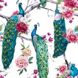 Paon d'aquarelle et modèle de fleurs illustration stock Paon d'aquarelle et modèle de fleurs illustration stock