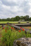 Papaveri di maggio alla villa romana a Echternach, Lussemburgo fotografie stock libere da diritti Papaveri di maggio alla villa romana a Echternach, Lussemburgo fotografie stock libere da diritti