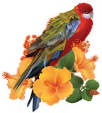 Papegaai en gele tropische bloemen royalty-vrije illustratie Papegaai en gele tropische bloemen royalty-vrije illustratie