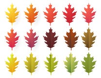 Paper cut autumn leaves set. Fall leaves colorful paper collection. Vector illustration. Stock Illustration Paper cut autumn leaves set. Fall leaves colorful paper collection. Vector illustration. Stock Illustration