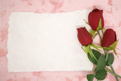 Papier blanc avec la rose de rouge photo libre de droits Papier blanc avec la rose de rouge photo libre de droits