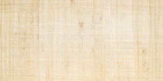 papyrus royaltyfri bild papyrus royaltyfri bild