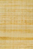 papyrus стоковое изображение papyrus стоковое изображение