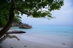 The paradise beach on tropical island with crystal clear sea, Si Stock Image The paradise beach on tropical island with crystal clear sea, Si Stock Image