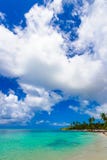 Paradise tropical beach palm the Caribbean Sea Stock Images Paradise tropical beach palm the Caribbean Sea Stock Images