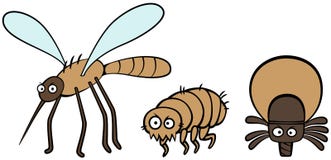 Parasites mosquito flea and tick Stock Image Parasites mosquito flea and tick Stock Image