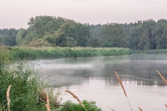 Parc de paysage de Rogalin - brume sur la rivière calme de Warta juste avant le lever de soleil image libre de droits Parc de paysage de Rogalin - brume sur la rivière calme de Warta juste avant le lever de soleil image libre de droits