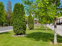 Parco con l'albero verde ed erba per fondo e priorità alta immagine stock libera da diritti Parco con l'albero verde ed erba per fondo e priorità alta immagine stock libera da diritti