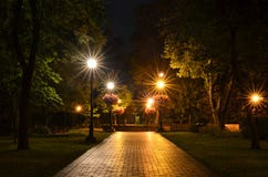 Parco della città nella notte fotografia stock libera da diritti Parco della città nella notte fotografia stock libera da diritti