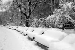 Parco di inverno della città Fotografia Stock Parco di inverno della città Fotografia Stock