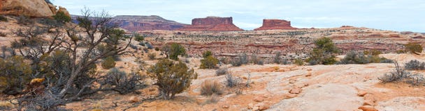Parco nazionale di Canyonlands fotografia stock Parco nazionale di Canyonlands fotografia stock