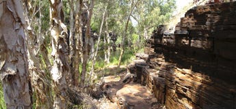 Parco nazionale di Karijini, Australia occidentale fotografia stock Parco nazionale di Karijini, Australia occidentale fotografia stock