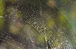 Pare-brise enduit photographie stock libre de droits Pare-brise enduit photographie stock libre de droits