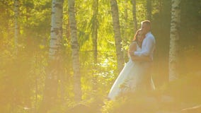 Pares felices elegantes de la boda que se besan en el bosque en puesta del sol almacen de metraje de vídeo Pares felices elegantes de la boda que se besan en el bosque en puesta del sol almacen de metraje de vídeo