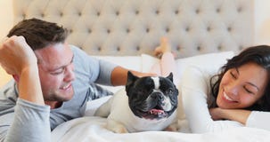 Pares felizes que jogam com cão 4k do pug filme Pares felizes que jogam com cão 4k do pug filme