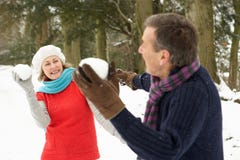 Pares mayores que tienen lucha de la bola de nieve imagen de archivo Pares mayores que tienen lucha de la bola de nieve imagen de archivo
