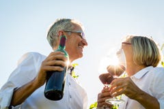 Pares mayores que tuestan con las copas de vino en viñedo fotografía de archivo Pares mayores que tuestan con las copas de vino en viñedo fotografía de archivo