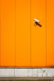 Parete arancio della costruzione immagini stock Parete arancio della costruzione immagini stock