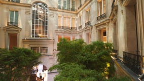 Apple Store Luxury Interior With Winter Garden Green Trees Stock