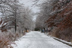 Park alley after a freezing rain storm. stock photos Park alley after a freezing rain storm. stock photos
