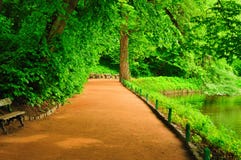 Park Avenue Royalty Free Stock Images Park Avenue Royalty Free Stock Images