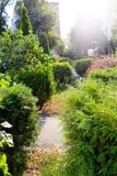 Park with beautiful avenues, flowerbeds and shrubs stock photography Park with beautiful avenues, flowerbeds and shrubs stock photography