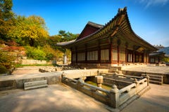 Park Changgyeonggung pałac, Seul, Południowy Korea.