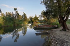 park för blatohutovonatur fotografering för bildbyråer park för blatohutovonatur fotografering för bildbyråer