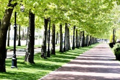 Park In Spring Royalty Free Stock Photos Park In Spring Royalty Free Stock Photos