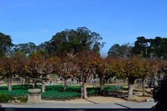 Parkeingang botanischen Gartens San Franciscos lizenzfreies stockbild Parkeingang botanischen Gartens San Franciscos lizenzfreies stockbild