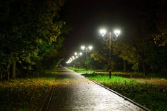 Parkowe noc lampionów lampy: widok alei przejście, droga przemian w parku z drzewami i ciemny niebo jako tło przy lata eveni, fotografia stock Parkowe noc lampionów lampy: widok alei przejście, droga przemian w parku z drzewami i ciemny niebo jako tło przy lata eveni, fotografia stock