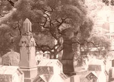 Parmi les morts photographie stock libre de droits Parmi les morts photographie stock libre de droits
