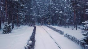 Parque con las trayectorias iluminadas por las linternas y la gente que camina en invierno clip Opini?n superior la gente que cam almacen de metraje de vídeo Parque con las trayectorias iluminadas por las linternas y la gente que camina en invierno clip Opini?n superior la gente que cam almacen de metraje de vídeo