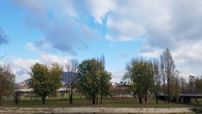 Parque da cidade com três árvores imagens de stock Parque da cidade com três árvores imagens de stock