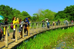 Parque do pantanal de Hong Kong imagem de stock Parque do pantanal de Hong Kong imagem de stock