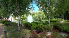 Parque e lago urbanos pitorescos com hortaliças video estoque Parque e lago urbanos pitorescos com hortaliças video estoque