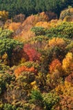 Parque estadual do lago devil, Baraboo, Wisconsin imagens de stock Parque estadual do lago devil, Baraboo, Wisconsin imagens de stock