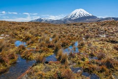 Parque nacional de Tongariro del paisaje de Ruapehu del soporte, Nueva Zelanda foto de archivo Parque nacional de Tongariro del paisaje de Ruapehu del soporte, Nueva Zelanda foto de archivo