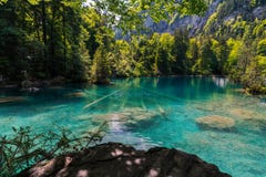 Parque natural azul do lago Blausee em Suíça adiantado de Kandersteg da queda imagem de stock Parque natural azul do lago Blausee em Suíça adiantado de Kandersteg da queda imagem de stock