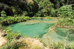 Parque natural del monumento de Semuc Champey en Lanquin Fotos de archivo libres de regalías Parque natural del monumento de Semuc Champey en Lanquin Fotos de archivo libres de regalías