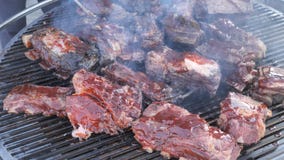 Parrilla clásica americana, friendo la carne fresca, barbacoa del pollo, cerdo, costillas, kebab, hamburguesa, Bbq, barbacoa, Jos almacen de video Parrilla clásica americana, friendo la carne fresca, barbacoa del pollo, cerdo, costillas, kebab, hamburguesa, Bbq, barbacoa, Jos almacen de video