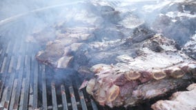 Parrilla, friendo la carne fresca, barbacoa del pollo, costillas, kebab, hamburguesa, Bbq, barbacoa, josper, carne de vaca Pedazo almacen de video Parrilla, friendo la carne fresca, barbacoa del pollo, costillas, kebab, hamburguesa, Bbq, barbacoa, josper, carne de vaca Pedazo almacen de video