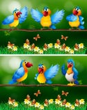 Parrot birds in flower garden vector illustration Parrot birds in flower garden vector illustration