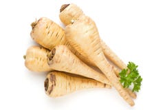 Parsnip isolated on the white background. Stock Images Parsnip isolated on the white background. Stock Images