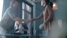 Partners die handen na productieve vergadering schudden stock video Partners die handen na productieve vergadering schudden stock video