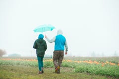 Pary pozycja blisko tulipanowego pola z męskim mieniem parasol nad kobiety głową zdjęcia stock Pary pozycja blisko tulipanowego pola z męskim mieniem parasol nad kobiety głową zdjęcia stock