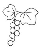 Pasa, planta medicinal linda Baya sana para la salud y la medicina Imagen gr?fica Ilustraci?n del vector libre illustration Pasa, planta medicinal linda Baya sana para la salud y la medicina Imagen gr?fica Ilustraci?n del vector libre illustration