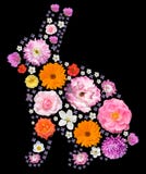 Pasen-konijnsilhouet met bloemenpatroon stock afbeeldingen Pasen-konijnsilhouet met bloemenpatroon stock afbeeldingen